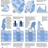 stoning instructions from iran