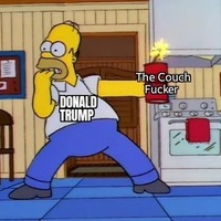 stupid sexy couches