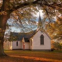 Church In New Zealand
