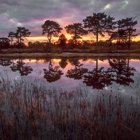 Reflections by Juergen M Zeidler