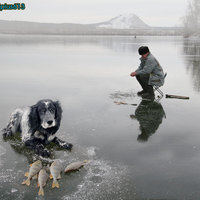 fishin' buddy