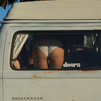 a Kombi in its natural environment