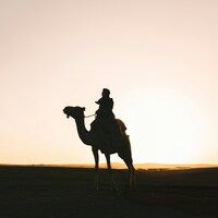 Silhouette of a person riding a camel at sunset by Peter Thomas