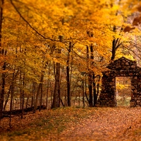 Autumn - Ruin or Folly
