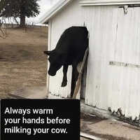 Safety tip