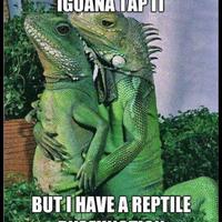 reptile romance