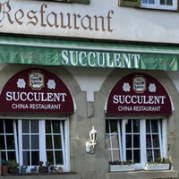 Succulent Chinese meal