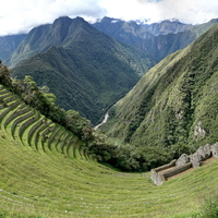 Wallpaper - Wiñay Wayna, Andes, near Machu Pichu, built for farming