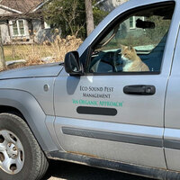 Pest management