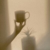Warm shadows of a hand, mug, and potted plant by Elisa Photography