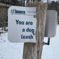 Sorry!