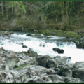 Moulton Falls