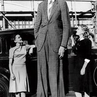  8 feet 11 inches. Photograph taken in 1938 at age 20.