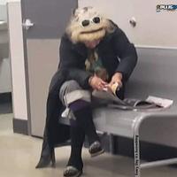 muppets in public