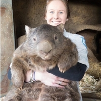 Check out this chick's wombat...