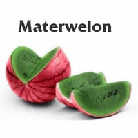 Materwelon