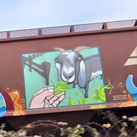 Graffiti 