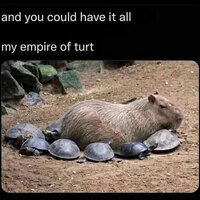 I will make you turt