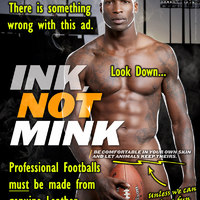 Don't forget the 'PigSkin'