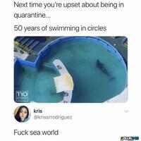 Fuck Sea World