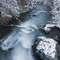 winter