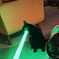 Meowing light sabre 
