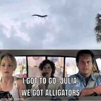 Florida twister