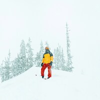 Snowboarder on a snowy mountain with trees by Sanket Darji
