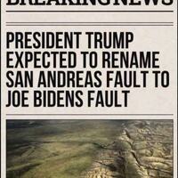 so not bush then