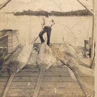 catch of the day.....back in the day