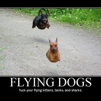 Fling Dogs