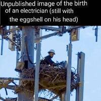 Egghead