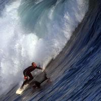 Surfing the tubes