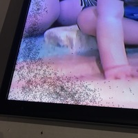 Ants in the TV.  At least you're not lonely!