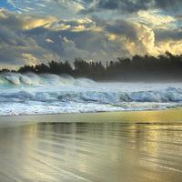 surf...