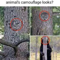 Wonders of nature
