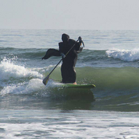 Death when you're eaten by a shark