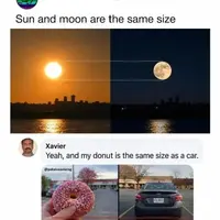 Tasty car sized donut