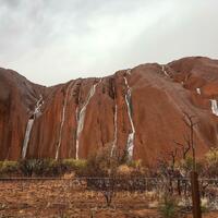 Uluru rains