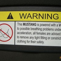 Mustang Warning