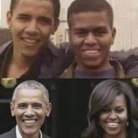 FAGGOTS