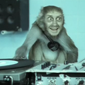 DJ Monkey Man