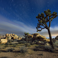 When the Light Goes Down in the Desert by Ken Lee