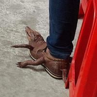 My new crocs