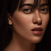 Prestige by Navid Mousavi