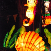 Chinese Lantern Festival 2