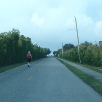 Sidewalks are for losers