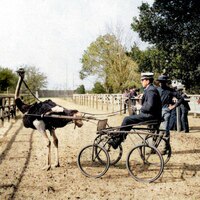 Off to the races