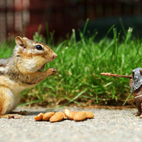You! Get my nuts out of your mouth!