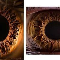 The incredible eye